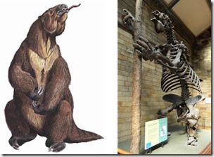 Megatherium restoration and skeleton, Dr Karl Shuker