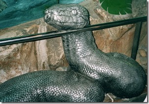 Reticulated python statue, Taronga Zoo, Sydney, Dr Karl Shuker