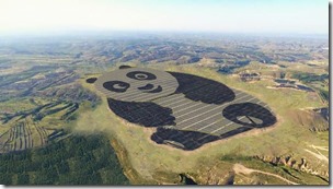 panda-solar-farm-01