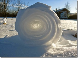 snow roller doughnut 12