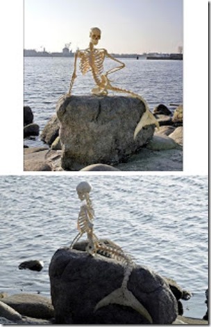 Haraldskaer mermaid skeleton on Little Mermaid rock