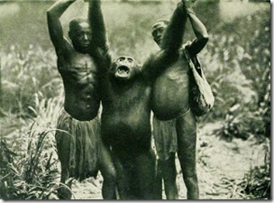Bili ape in 1912 book
