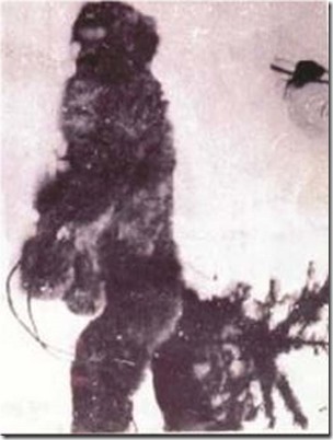 Detail-of-bigfoot-in-the-1894-photo
