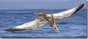 Pteranodon_NT