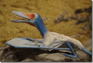 pterosaur-1257324_640