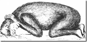 Khakhlov-sleeping-almas-Shackley-1983-1000-px-tiny-Aug-2018-Tetrapod-Zoology