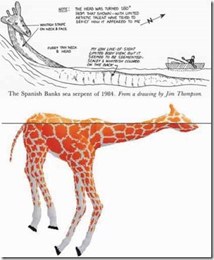 some-cadborosaurs-look-like-swimming-giraffes-April-2012-resized-tiny-new