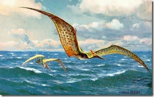 pteranodon-dinosaur-pterodactyl-pteranodon-570x358