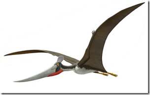 pterosaur-570x358