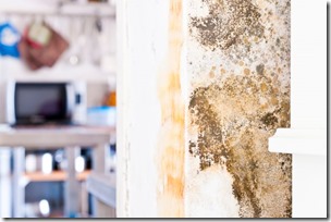 0_Mildew-Mold-Rotting-Wall-of-Modern-House-behind-Furniture