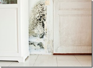0_Mold-Growth-on-Wall-and-Damp-Stained-Wood-Door