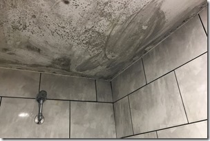 0_Shower-Room-with-Mold-on-the-Ceiling-4