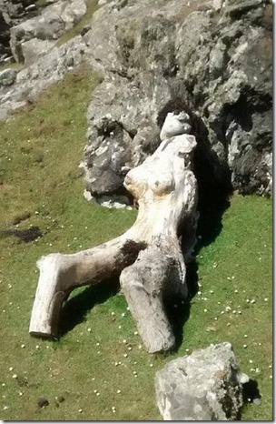 Does-This-Driftwood-Look-Like-a-Nude-Woman_0-x