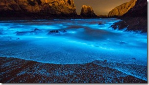 The-Toxic-Organisms-Behind-China-s-Sparkling-Blue-Seas_0-x