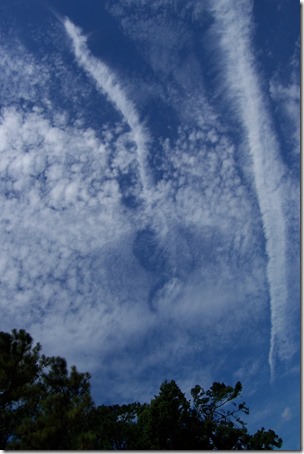 Fallstreak1