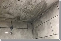 0_Shower-Room-with-Mold-on-the-Ceiling-4_thumb