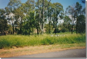 Gatton yowie site 1. Site of crossing (11.59 am Sat 21 Feb 1998)