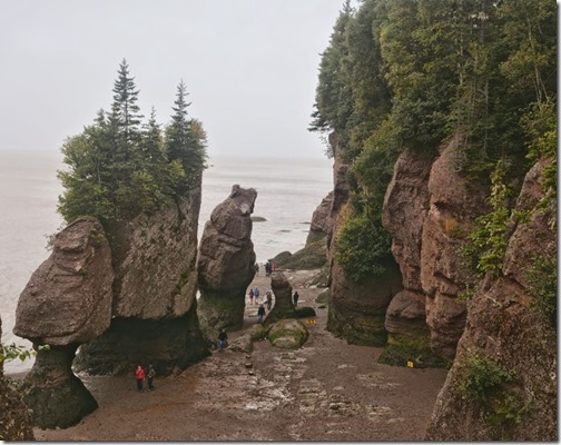 HopewellRocks-NewBrunswik