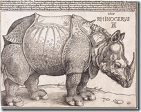 Rhino-640x508_thumb