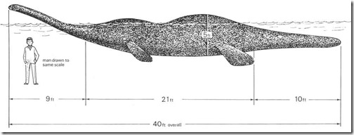 Dinsdale-Aug-2019-Dinsdale-Nessie-model-1960-1000px-32kb-Aug-2019-Tetrapod-Zoology