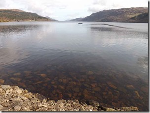 Dinsdale-Aug-2019-Loch-Ness-looking-south-2-2016-1000px-33kb-Aug-2019-Tetrapod-Zoology