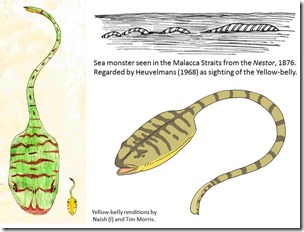 Disentangled-review-Nov-2019-yellow-belly-montage-600-px-tiny-Feb-2016-Nov-2019-Darren-Naish-Tetrapod-Zoology