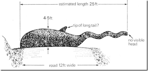 LNM-books-Binns-Dinsdale-drawing-of-Spicer-creature-1500-px-tiny-Mar-2019-326-px-55kb-Tetrapod-Zoology-Darren-Naish