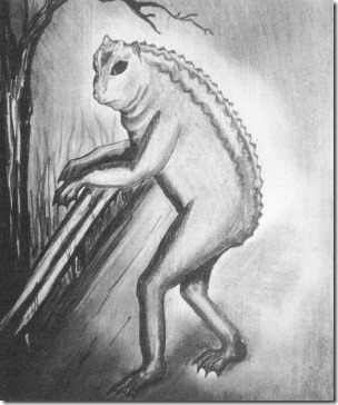 Loveland-Frog-Jan-2020-Bord-&-Bord-Ron-Schaffner-illustration-1000px-155kb-Tetrapod-Zoology