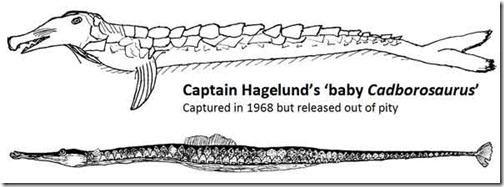 Paxton-&-Naish-2019-Hagelund-baby-and-pipefish-CM-Sept-2011-600px-tiny-April-2019-Darren-Naish-Tetrapod-Zoology