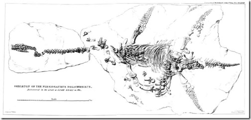 Paxton-&-Naish-2019-Plesiosaurus-1824-original-resized-1000px-tiny-April-2019-Darren-Naish-Tetrapod-Zoology