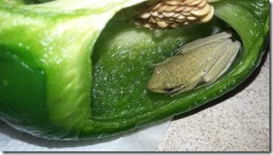 frog-green-pepper