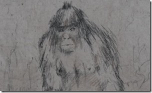 Elusive-An-artists-impression-of-the-Yeti-or-Abominable-Snowman--300x183