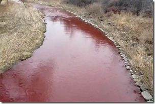 Canadian-Creek-Turns-Blood-Red_0-x
