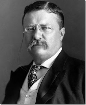 President Theodore Roosevelt, public domain