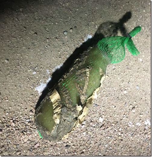 https___s3-us-west-2.amazonaws.com_the-drive-cms-content-staging_message-editor%2F1594222936185-dronepotato