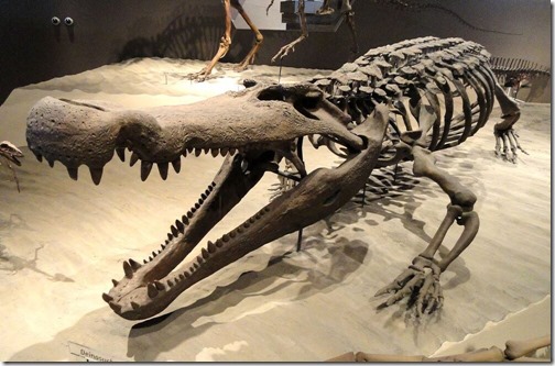 Migo-1994-Feb-2021-Deinosuchus-Daderot-CCO-1046px-142kb-Feb-2021-Darren-Naish-Tetrapod-Zoology