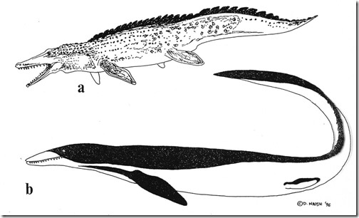 Migo-1994-Feb-2021-Naish-1997-mosasaurs-1000px-209kb-Feb-2021-Darren-Naish-Tetrapod-Zoology
