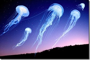 jellyfish-in-night-sky-ruth-rado