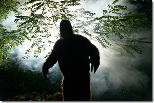 0_sasquatch-or-big-foot-in-forest