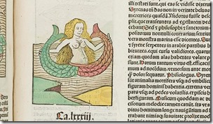 mermaid-illustration-ortus-sanitatus-two-column.jpg.thumb.768.768