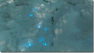 bioluminescent-snow-750x422