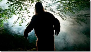 0_sasquatch-or-big-foot-in-forest