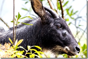 4d1e5ef955d89bbf4e_GettyImages-1226898551