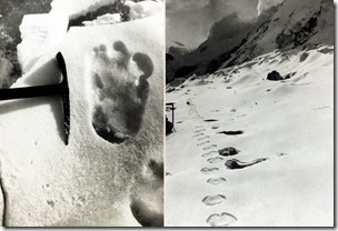 4d1e5ef955d89bbf4e_GettyImages-78949861-78949864