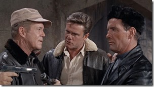 Bamboo Saucer Tense Alliance