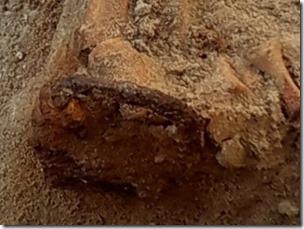 SkeletonBuriedInPoland3-642x481