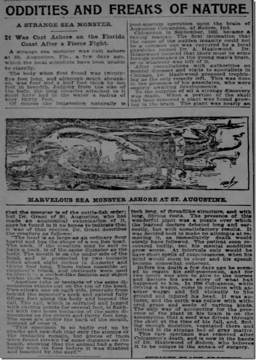 St. Louis Post-Dispatch St. Louis, Missouri, Dec. 13, 1896. p. 30