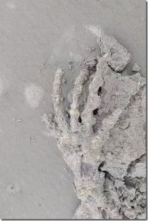 1_PAY-Couple-finds-eerie-ALIEN-HAND-on-beach