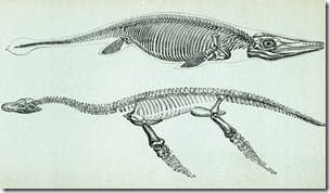 36..-Ichthyosaurus-and-Plesiosaurus-768w