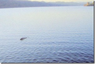 Loch-Ness-Monster (1)-768w